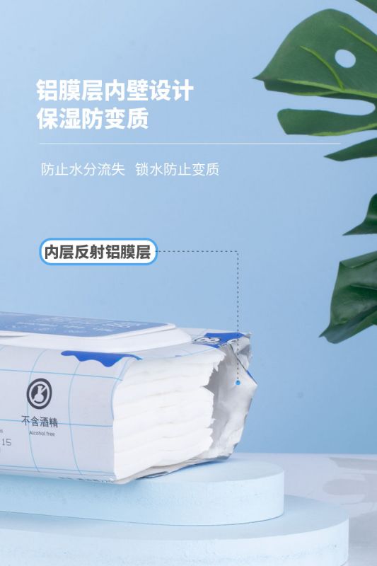 湿厕纸